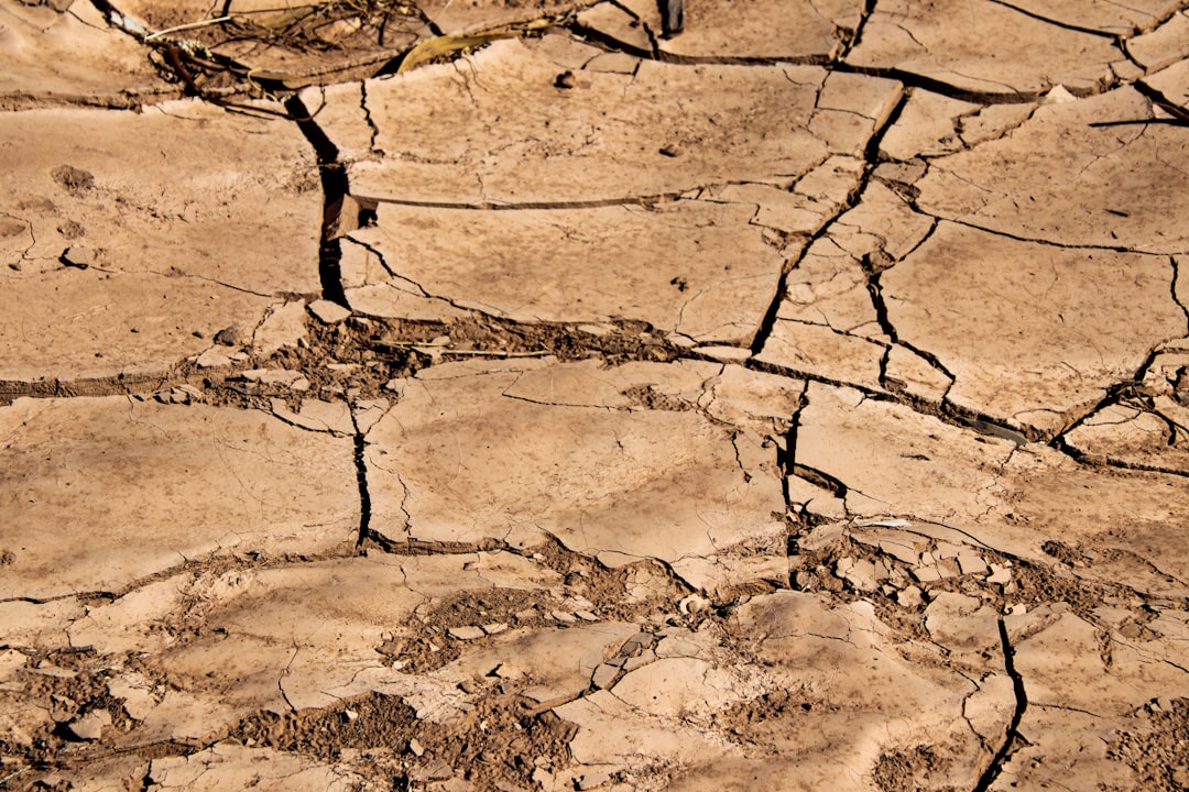 Высохшее дно Аральского моря